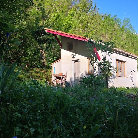 Font-Fresca Location Villa Baillestavy Exteriör bild